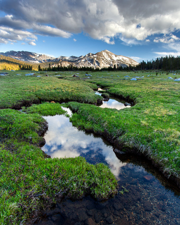 Mammoth Peak and Meadow